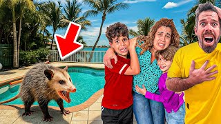 ENCONTRAMOS un ANIMAL RARO en el PATIO de la CASA NUEVA|4PLUSONE