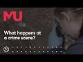 Practical Experience in Forensic Science