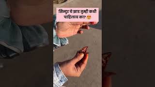 सिन्दुर चे झाड तुम्ही कधी पाहिलाय का? 😍