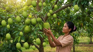 🌱 Unlock the Secret to Growing a Soursop Tree FULL of Fruit!🌱