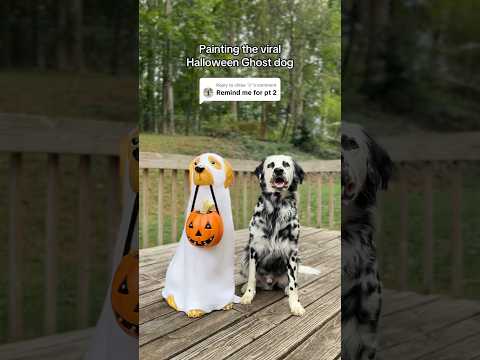 Painting the viral Halloween ghost dog 👻 #Dog #Halloween