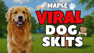 VIRAL Videos Of Dogs Helping HARDWORKING People