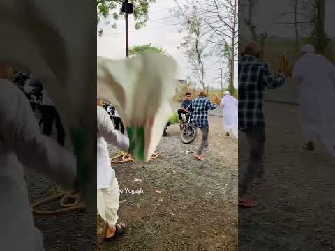 pakde Gaye