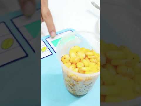 Plain Salted Sweet Corn Making