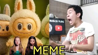 SIGMA BOY LABUBU MEME
