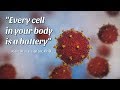 Understanding Human Body Signals