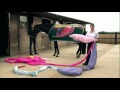 Exploring the Horse's Digestive System