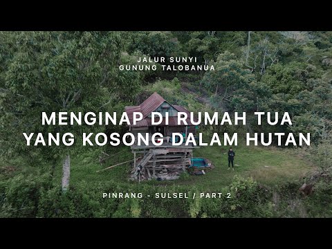 GUNUNG TALOBANUA - Jalur Sunyi Sulawesi Selatan (Pinrang) #2