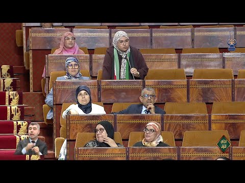 الرطل بناني :ثمن الزيتون يأكد فشل المغرب الأخضر