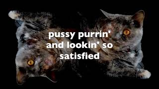 The Presidents of the United States of America - Kitty (Lyric Video)