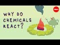 Exploring the Forces Behind Chemical Reactions