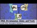 Understanding DNA and Heredity