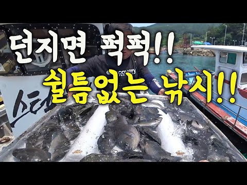 [다리tv] 엄청난 어자원!!! 초보도 쉴세 없이 잡을 수 있는!!! 진짜 재미난 여름 낚시!!