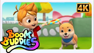 🎶 Le Chien Bingo Chanson Pour Enfants | Boom Buddies Vidéos de Dessins Animés en Français