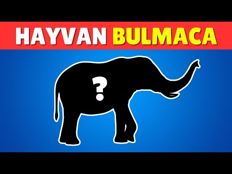 Hayvan Gölge Bulmacası 🔥🎅 Gizli Hayvanları Tahmin Et  - Yılbaşı Özel