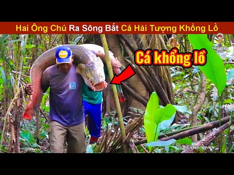 2 Anh Bạn Già Rủ Nhau Ra Sông Amazon Bắt Cá Hải Tượng Khổng Lồ | Review Giải Trí Đời Sống