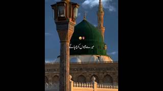 Ya Nabi Salam Alaika 🌙🦋#naatstatus #صلی_اللہ_علیه_وآله_وسلم #viral #foryou #islamicvideo #shortsfeed