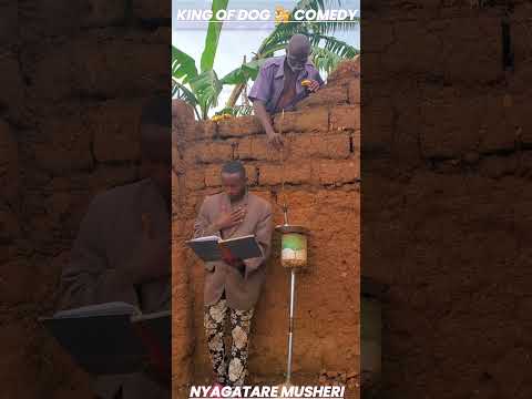 king? of dog ? comedy ? funny ? part 1 ??