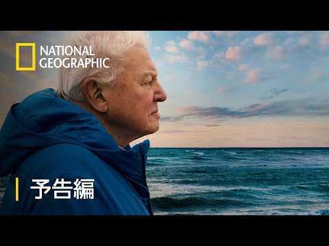オーシャン with デビッド・アッテンボロー - 予告編 | ナショジオ