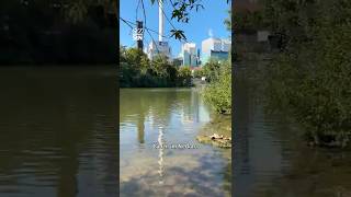 Stuttgarter Verein prüft: Baden im Neckar bald möglich?