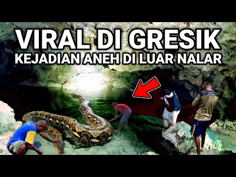 VIRAL..! KEJADIAN ANEH DILUAR NALAR HEBOHKAN WARGA LAGI VIRAL DI JAWA TIMUR