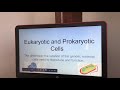 Eukaryotic and Prokaryotic Cells