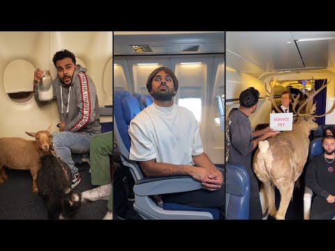 Weirdest Flights Compilation 😂 - Funniest AdamW Tiktoks 2025