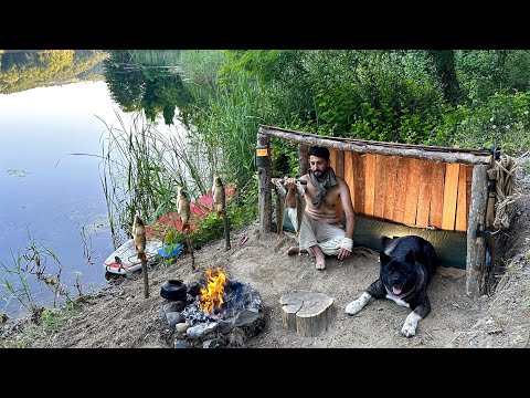 SURVIVAL CHALLENGE (NO FOOD, NO SHELTER) Catch and Cook - FISHING. Bushcraft Camping