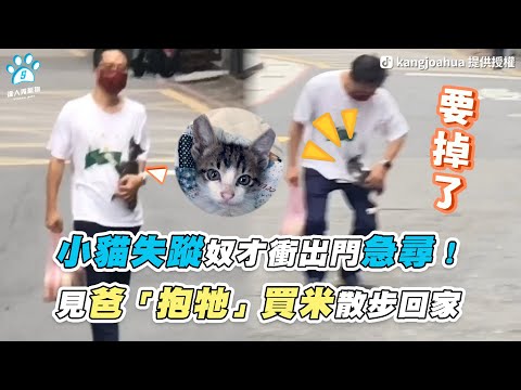 【小貓失蹤奴才衝出門急尋！ 見爸「抱牠」買米散步回家】｜TikTok / kangjoahua｜網友 / Hsiangjung Tang