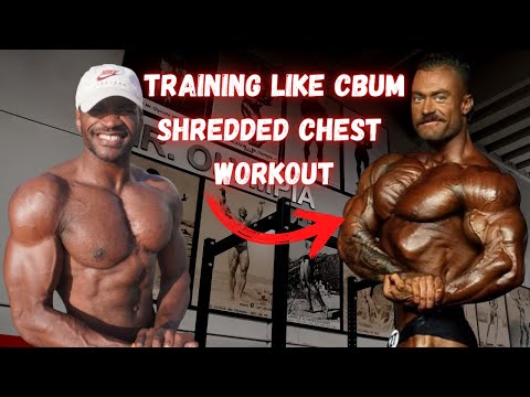 Plan workout shredded body Get Shredded