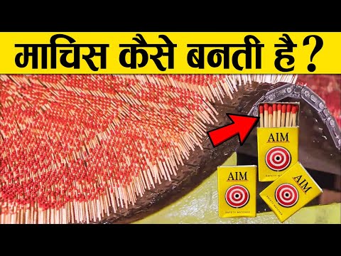 माचिस कैसे बनती है ? | Matchbox Making Factory in Hindi | Matchbox Manufacturing
