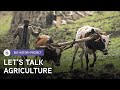 Agriculture's Impact on Human Development