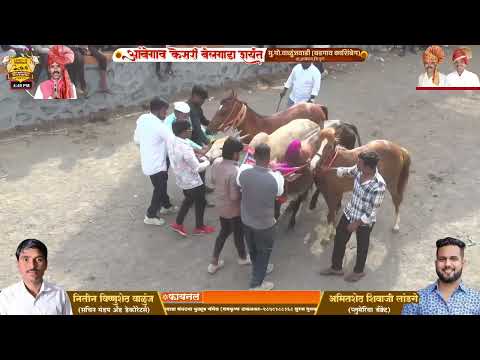 श्री कळमजाई माता उत्सव || आंबेगाव केसरी २०२५ फायनलच्या सर्व बाऱ्या