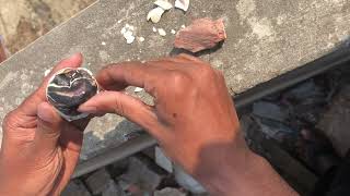 Kadaknath murgi ka ande ka operation shehr main dihat