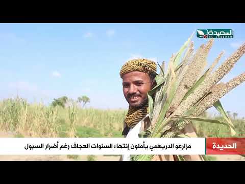 بعد سنوات من الجفاف مزارعو الدريهمي يأملون إنتهاء الشدة رغم أضرار السيول