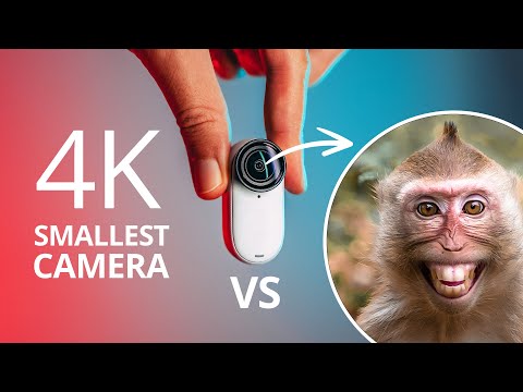 I Gave the Smallest 4K Camera to Monkeys – Insta360 GO 3S