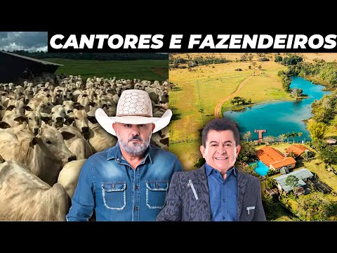 AS INCRÍVEIS FAZENDAS DO RIONEGRO E SOLIMÕES