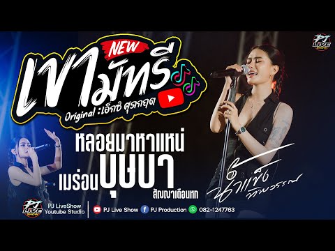 เขามัทรี + บุษบา + สัญญาเดือนหก +  ชีวิตเมียเช่า + เมร่อน | น้ำแข็ง ทิพวรรณ | แสดงสด "เต็มวง"