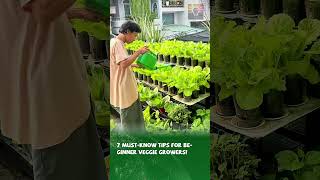 7 Must-Know Tips for Beginner Veggie Growers! #veggies