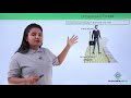 Unbalanced Forces and Motion Concepts