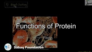 Function of Protein