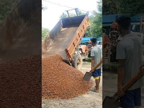 Mahindra tracktor trolley unload. #shortsfeed #shortsviral #tractorvideo #viralvideo