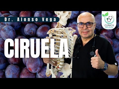 Todo Sobre la Ciruela - Clínica Dr. Vega