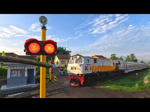 Railroad Crossing | Kompilasi EWS Perlintasan Kereta Api | VIALIS | WANTECH