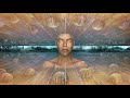 Mindfulness and the Seven Factors of Awakening