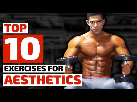 Top 10 Exercises for a Perfect, Symmetrical Physique