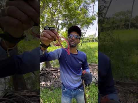 ഇവനെ രക്ഷിക്കാൻ നോക്കിയതാ പക്ഷേ☹️