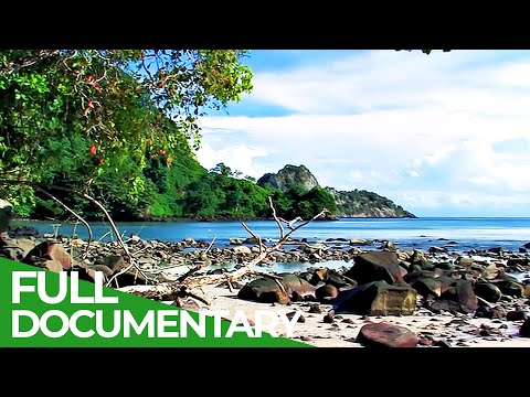 Cocos Island - Mysterious Wonder of the Pacific Ocean | Free Documentary Nature
