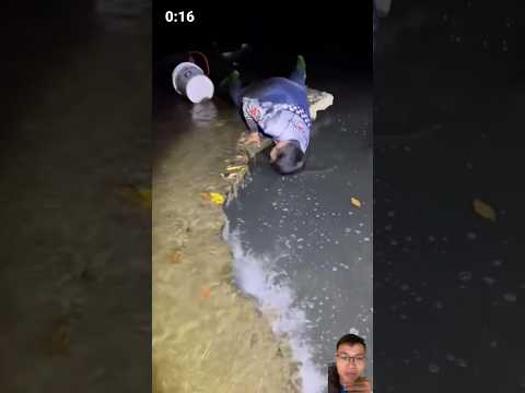 Vớt cá đêm
