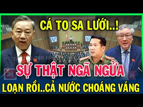 Tin nóng ĐẶC BIỆT mới nhất ngày 5/10/2025. Tin Nóng Chính Trị Việt Nam và Thế Giới✈#tintuc24hhd